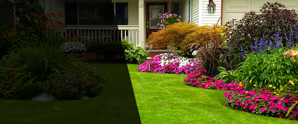 Riva Landscapers