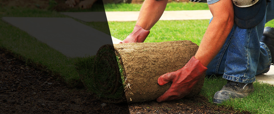 Riva Landscapers